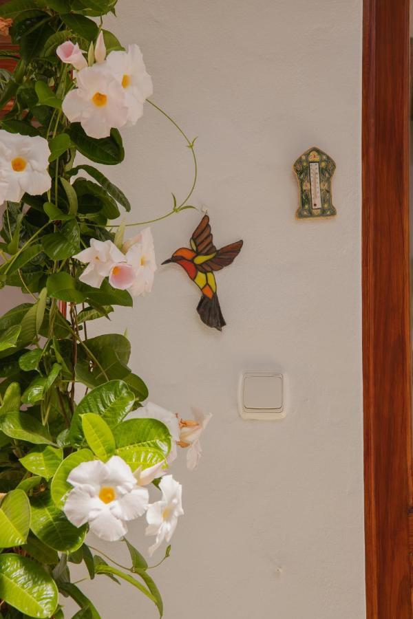 Casa Carmen Vila Haría Exterior foto